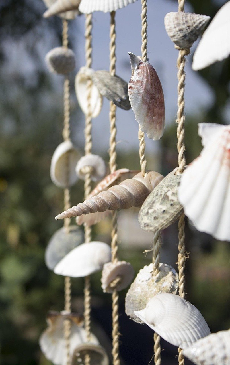 Close-up of hanging seashells strung on natural twine, creating a coastal-inspired décor element. The shells vary in size and shape, casting gentle shadows, evoking a calm and creative crafting or beach-themed environment.