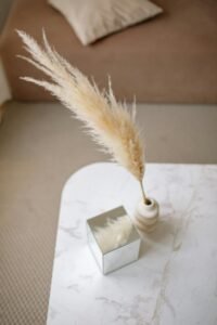 Minimalist home decor featuring a small square vase with pampas grass on a marble table, enhancing a calm and cozy living space.
