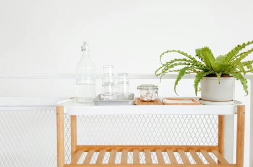A stylish and modern beverage stand featuring a plant and water bottle in a clean indoor setting.