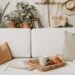 Cozy living room accent pieces styled on a white sofa with neutral pillows, a woven tray, coffee mug, greenery, and warm natural decor for a soft, inviting home look
